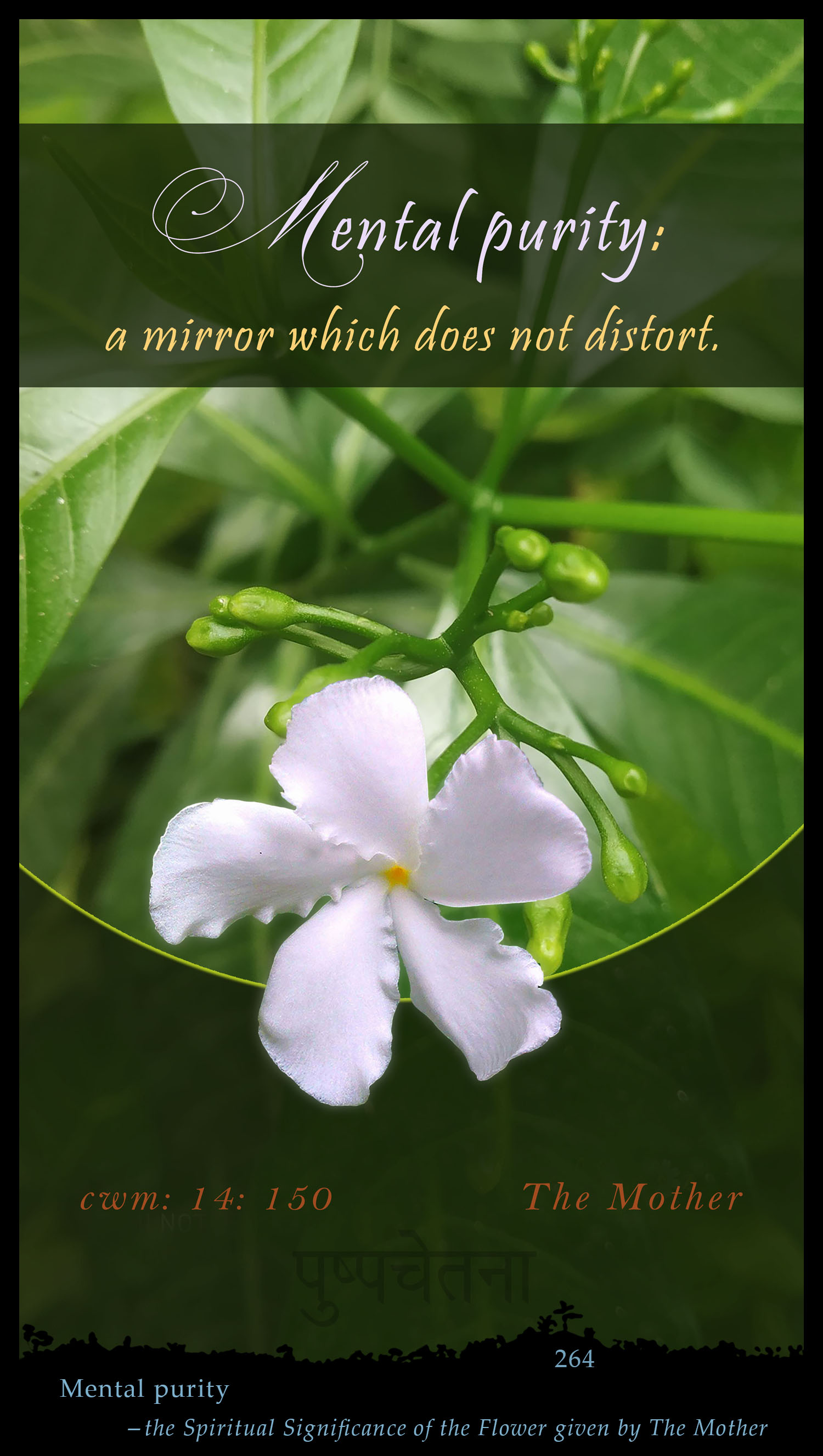 Mental Purity